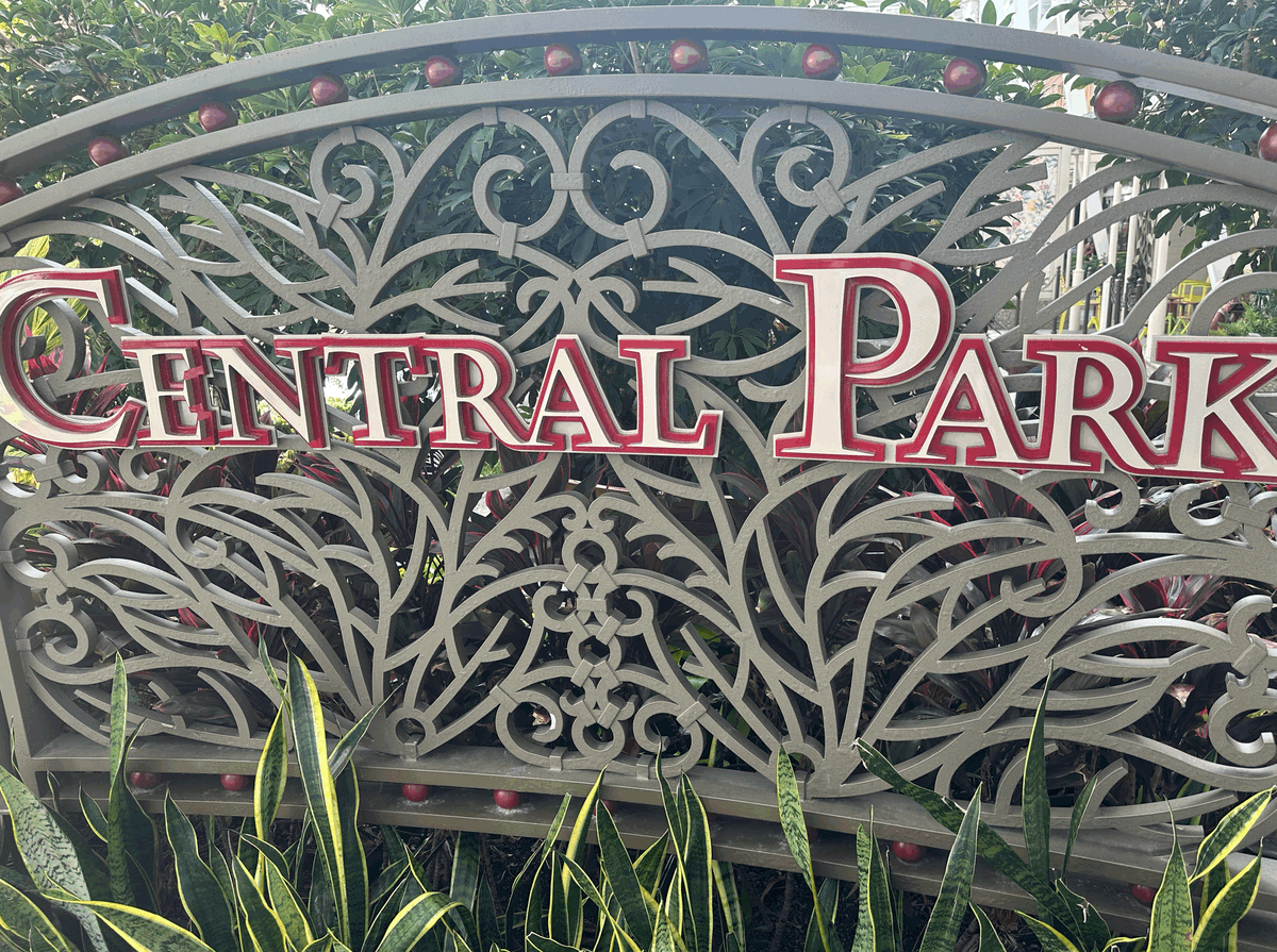 An Encounter in Central Park